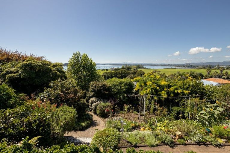 Photo of property in 17 Farnell Court, Omokoroa, 3114