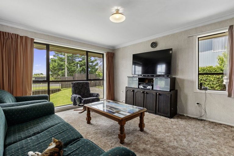 Photo of property in 8 Cornwall Street, Gate Pa, Tauranga, 3112