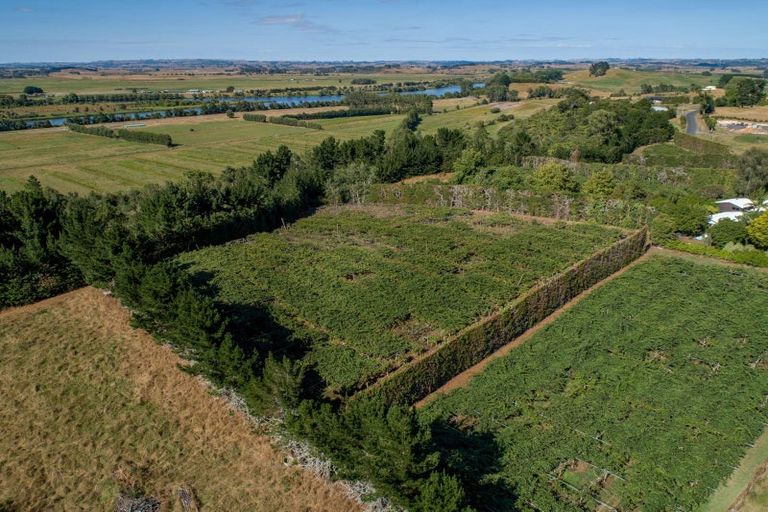 Photo of property in 159 Plantation Road, Rangiriri, Te Kauwhata, 3782