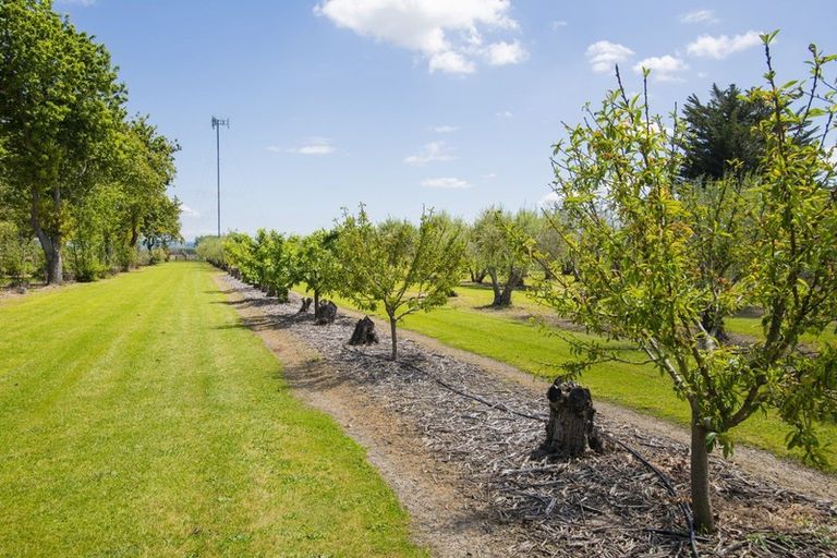 Photo of property in 144 Makaraka Road, Makaraka, Gisborne, 4071