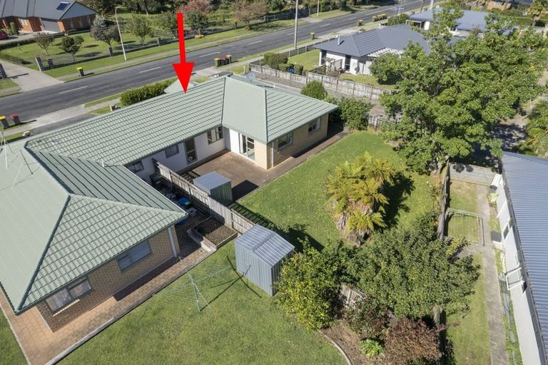 Photo of property in 8b Wills Road, Katikati, 3129