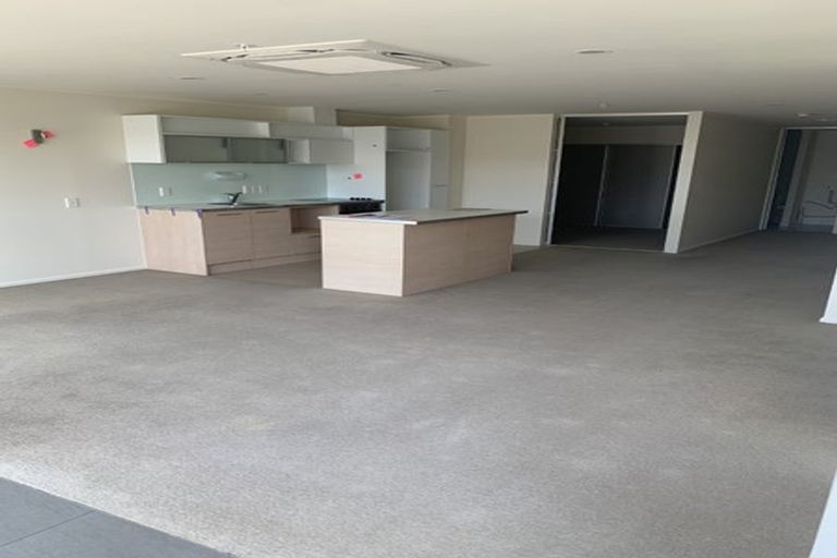 Photo of property in Luna Apartments, 1p/16 Burton Street, Grafton, Auckland, 1010