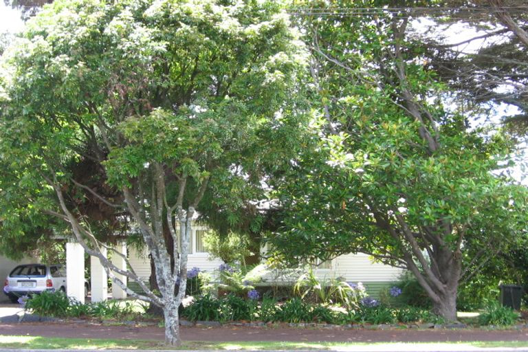Photo of property in 31 Holly Street, Avondale, Auckland, 1026
