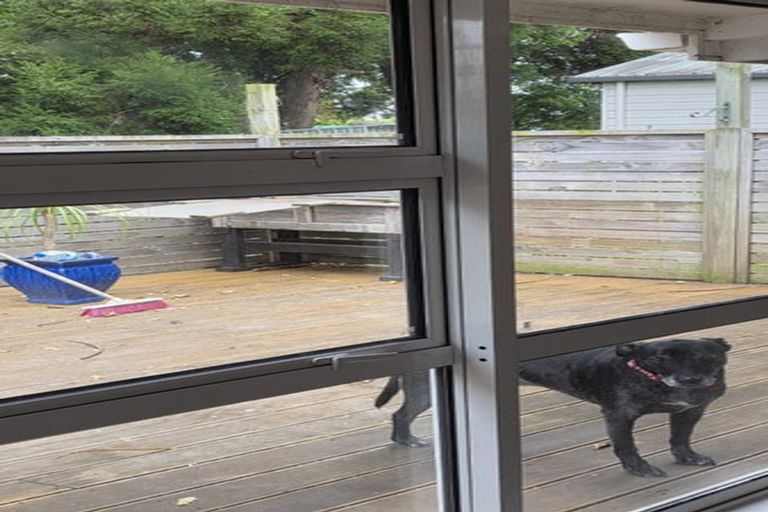 Photo of property in 17 Dewhurst Place, Favona, Auckland, 2024