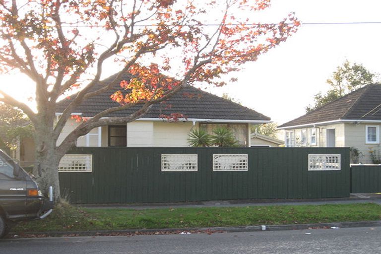 Photo of property in 195 Waddington Drive, Naenae, Lower Hutt, 5011