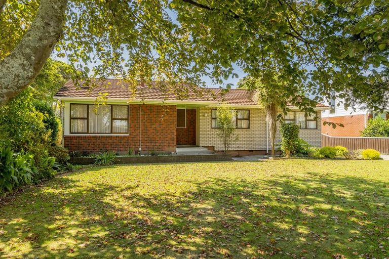 Photo of property in 63 Macarthur Street, Levin, 5510