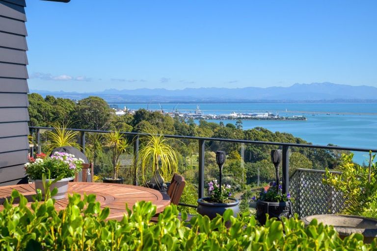 Photo of property in 13 Chamerion Way, Atawhai, Nelson, 7010