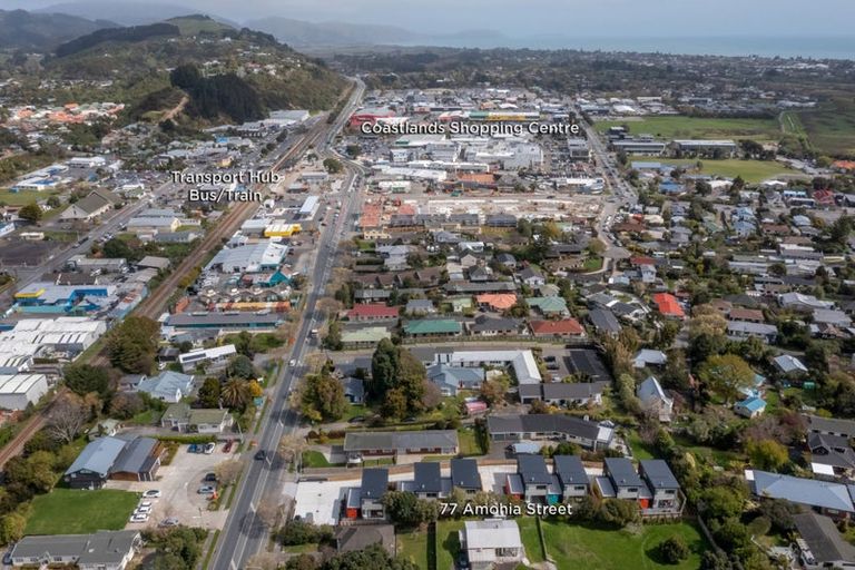 Photo of property in 77 Amohia Street, Paraparaumu, 5032