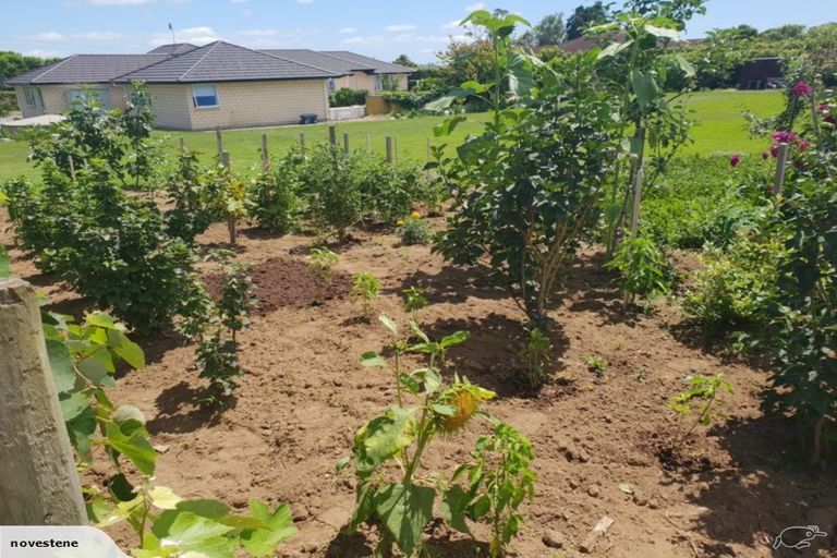 Photo of property in 8 Judge Road, Rotoorangi, Te Awamutu, 3879