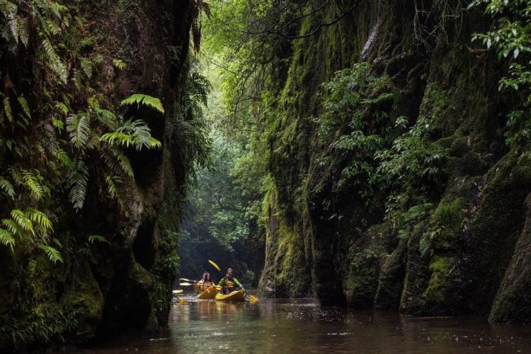 Photo of property in 355 Horahora Road, Piarere, Tirau, 3484