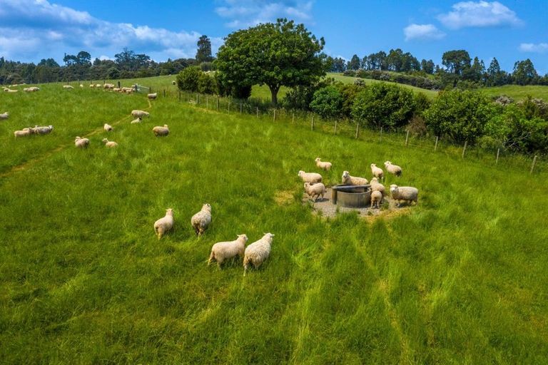 Photo of property in 208 Sunnyside Road, Coatesville, Albany, 0793