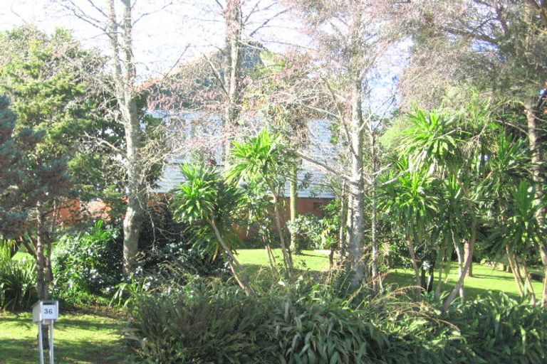 Photo of property in 36 Plunket Terrace, Hamilton East, Hamilton, 3216