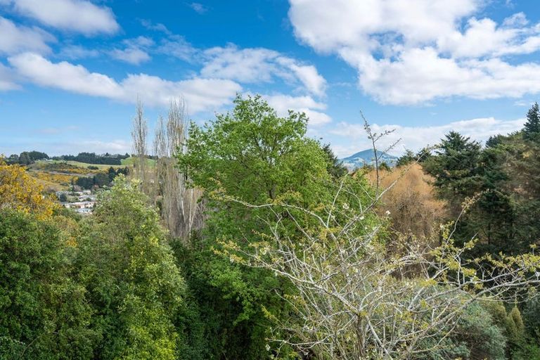 Photo of property in 30 Panmure Avenue, Calton Hill, Dunedin, 9012
