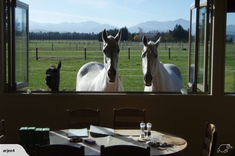 Photo of property in 298 Birch Hill Road, Okuku, Rangiora, 7473