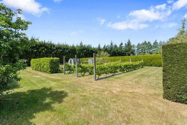 Photo of property in 256 O'roarkes Road, Fernside, Rangiora, 7471