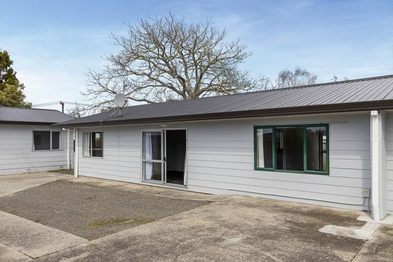 Photo of property in 2/3 Harris Street, Te Puke, 3119