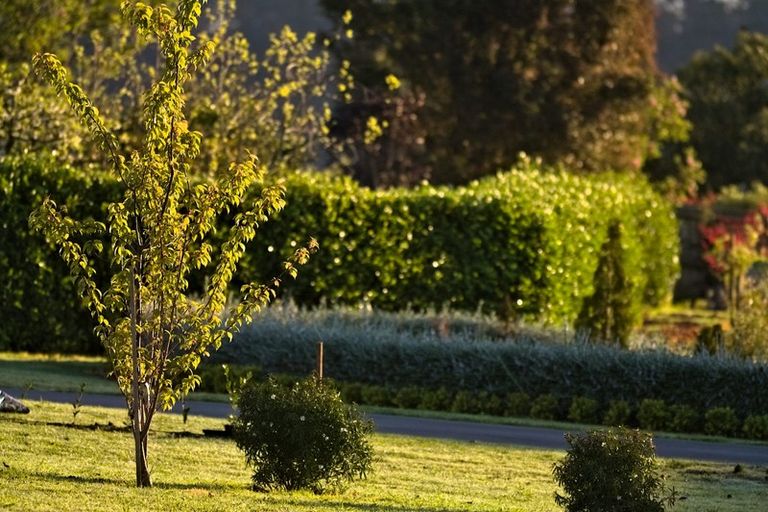 Photo of property in 21 Te Karaka Drive, Te Puna, Tauranga, 3174