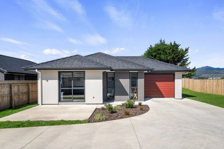 Photo of property in 79a Hinemoa Street, Levin, 5510