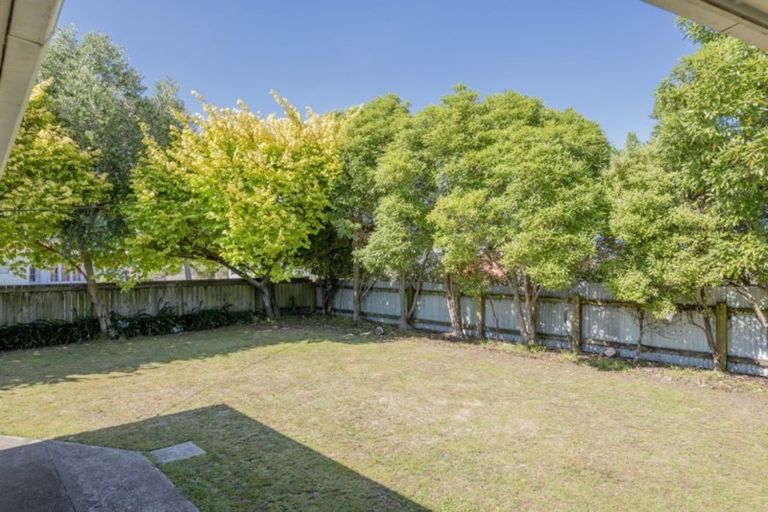 Photo of property in 18 Shamrock Street, Levin, 5510