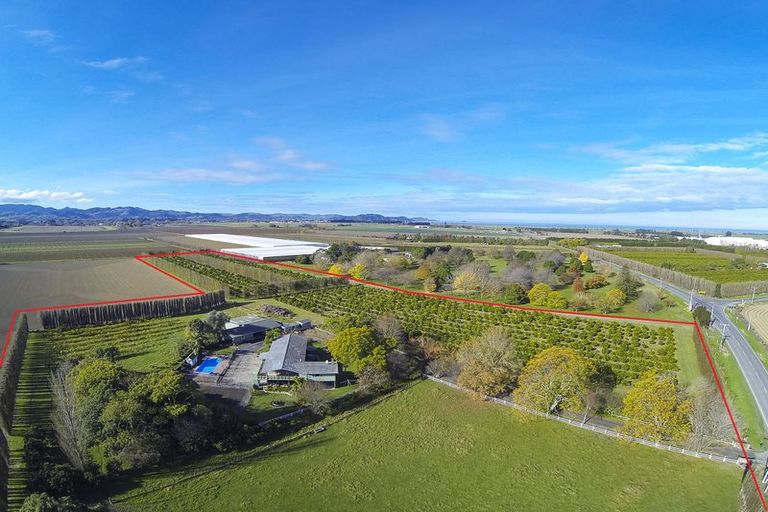 Photo of property in 693 Awapuni Road, Matawhero, Gisborne, 4071