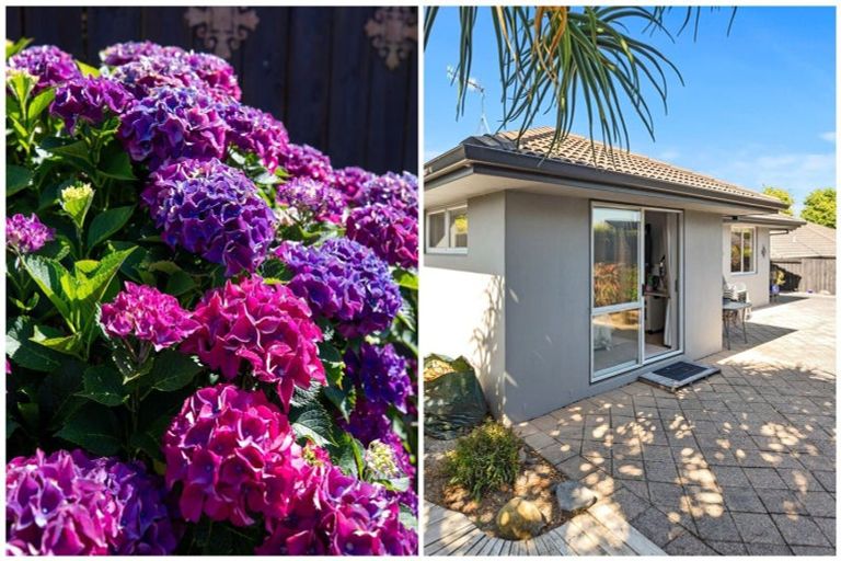 Photo of property in 2 Glencoe Court, Pyes Pa, Tauranga, 3112