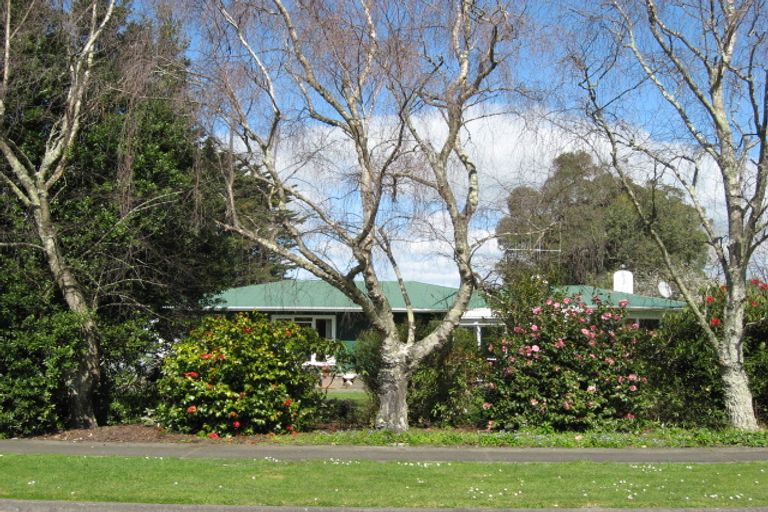 Photo of property in 31 Milne Street, Marton, 4710