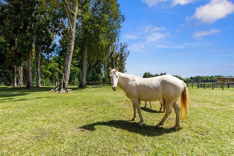 Photo of property in 11 Sarona Park Drive, Omanawa, Tauranga, 3171