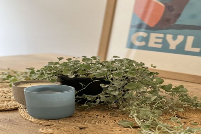 Photo of property in 65 Lucerne Road, Remuera, Auckland, 1050