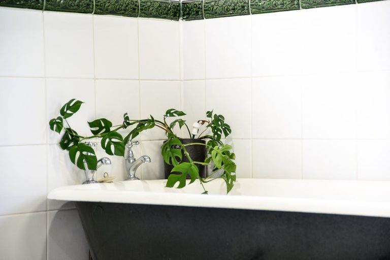 Photo of property in 27b Opoia Road, Hamilton East, Hamilton, 3216