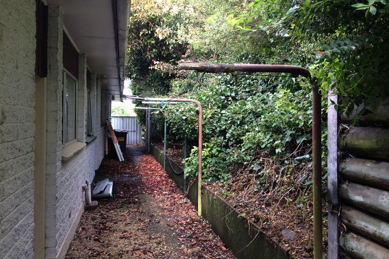 Photo of property in 64b Argyle Street, Mornington, Dunedin, 9011