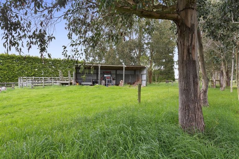 Photo of property in 196 Beatties Road, Ashley, Rangiora, 7477