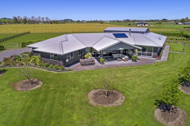 Photo of property in 640 Back Ormond Road, Makauri, Gisborne, 4071