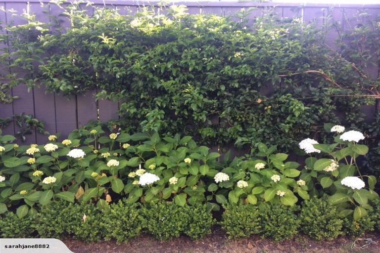 Photo of property in 70 Park Road, Miramar, Wellington, 6022