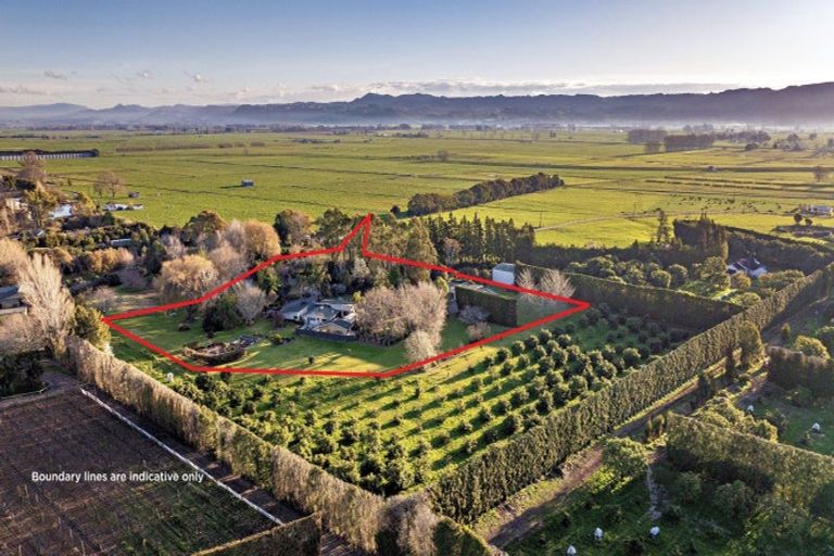 Photo of property in 90 Colebrook Road, Edgecumbe, Whakatane, 3193