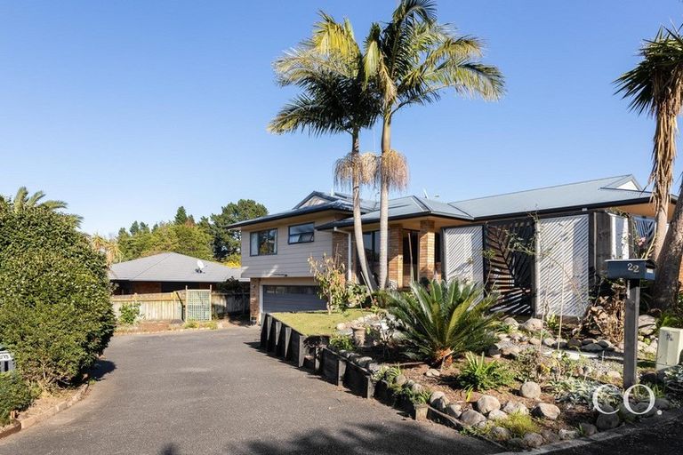 Photo of property in 22 Macmillan Street, Katikati, 3129