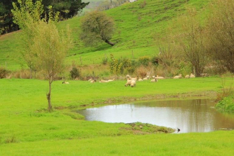 Photo of property in 186 Kaukatea Valley Road, Okoia, Wanganui, 4582