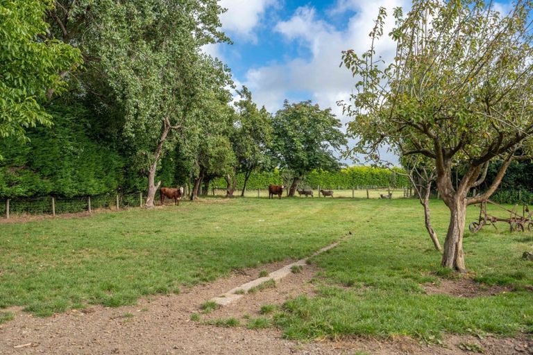 Photo of property in 286 Bay Road, West Plains, Invercargill, 9879