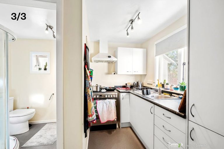Photo of property in 3 Alameda Terrace, Aro Valley, Wellington, 6021