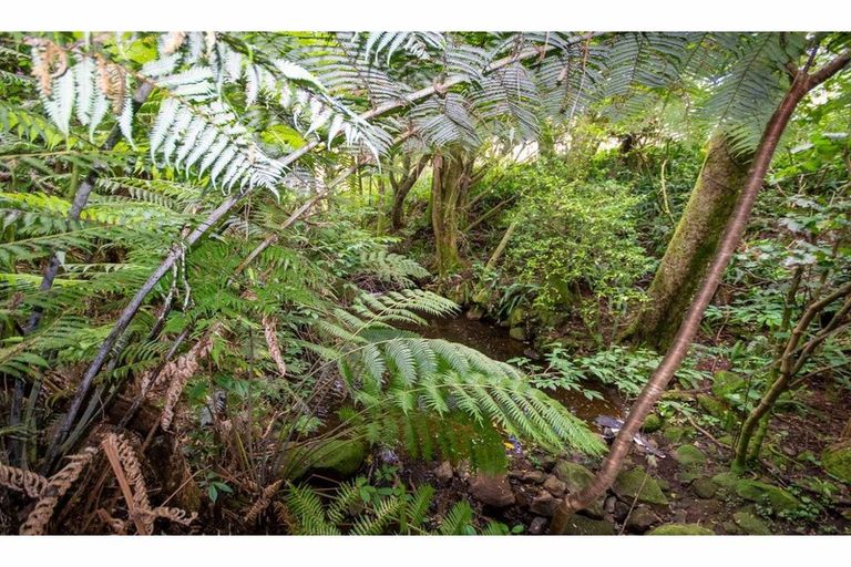 Photo of property in 88 Ness Road, Waipapa, Kerikeri, 0295