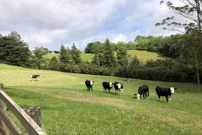 Photo of property in 141a Glenmore Road, Coatesville, 0793