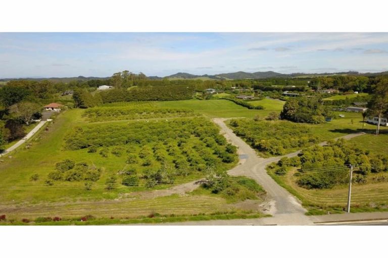 Photo of property in 443 Kerikeri Road, Kerikeri, 0230