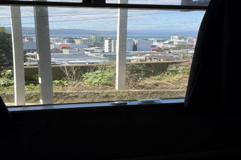 Photo of property in 59 Hankey Street, Mount Cook, Wellington, 6011