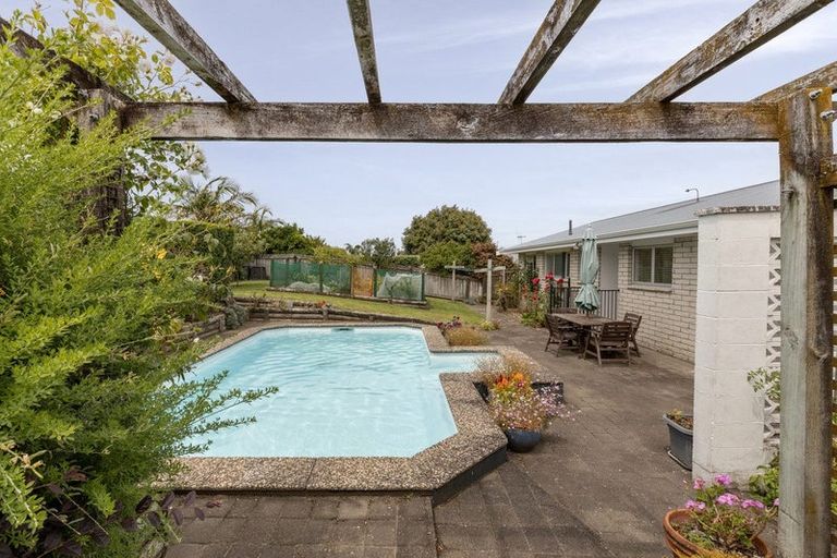 Photo of property in 17 Glenfield Place, Brookfield, Tauranga, 3110