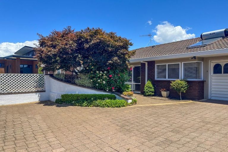 Photo of property in 26b Sixteenth Avenue, Tauranga South, Tauranga, 3112
