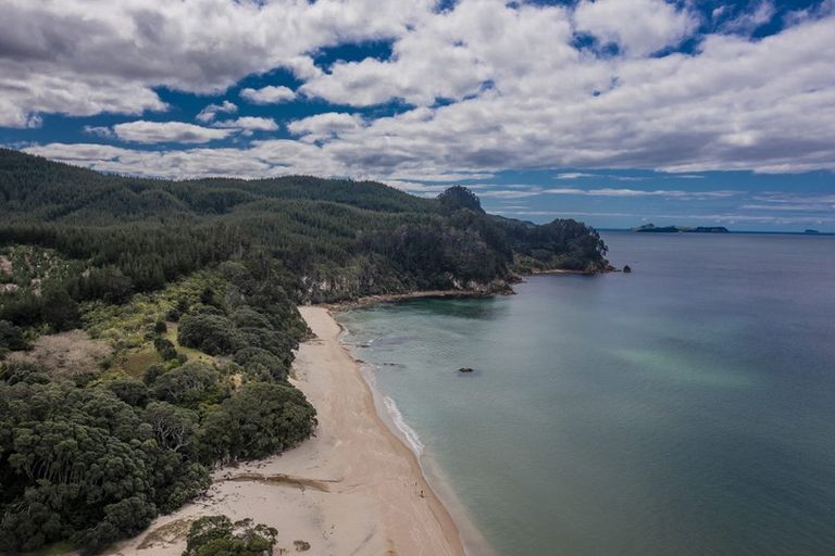 Photo of property in 114 Tuna Place, Onemana, Whangamata, 3691