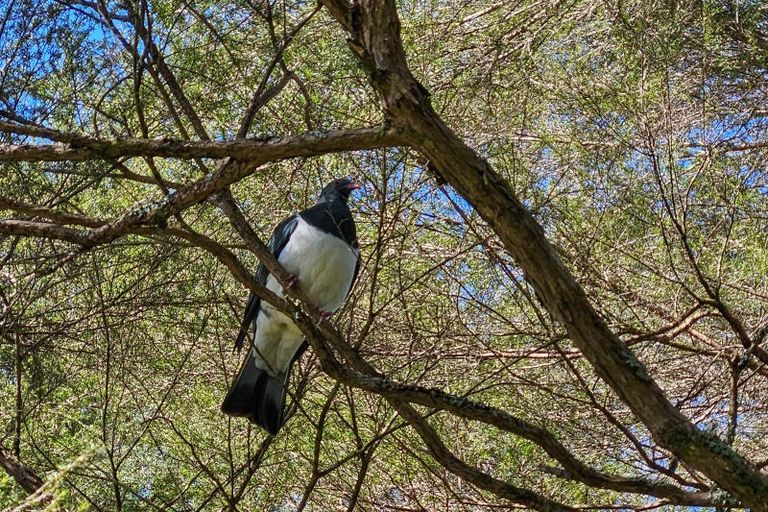 Photo of property in 35 Hume Road, Aongatete, 3181