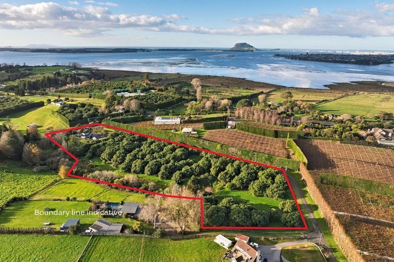 Photo of property in 108 Lochhead Road, Te Puna, Tauranga, 3176