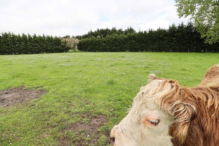 Photo of property in 119 Riversdale Road, Waihakeke, Carterton, 5792