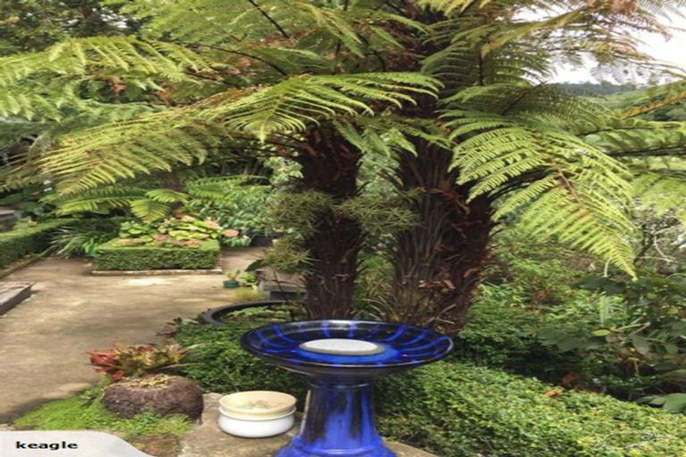 Photo of property in 1 Haines Terrace, Aro Valley, Wellington, 6021