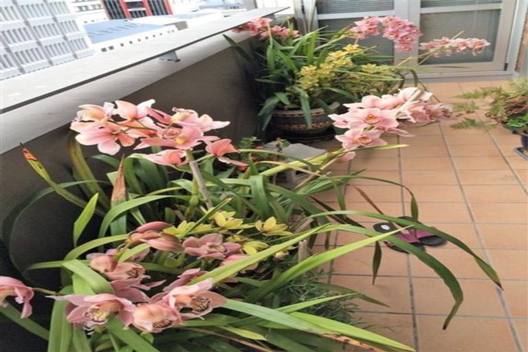 Photo of property in The Lofts, 14/185 Victoria Street, Te Aro, Wellington, 6011